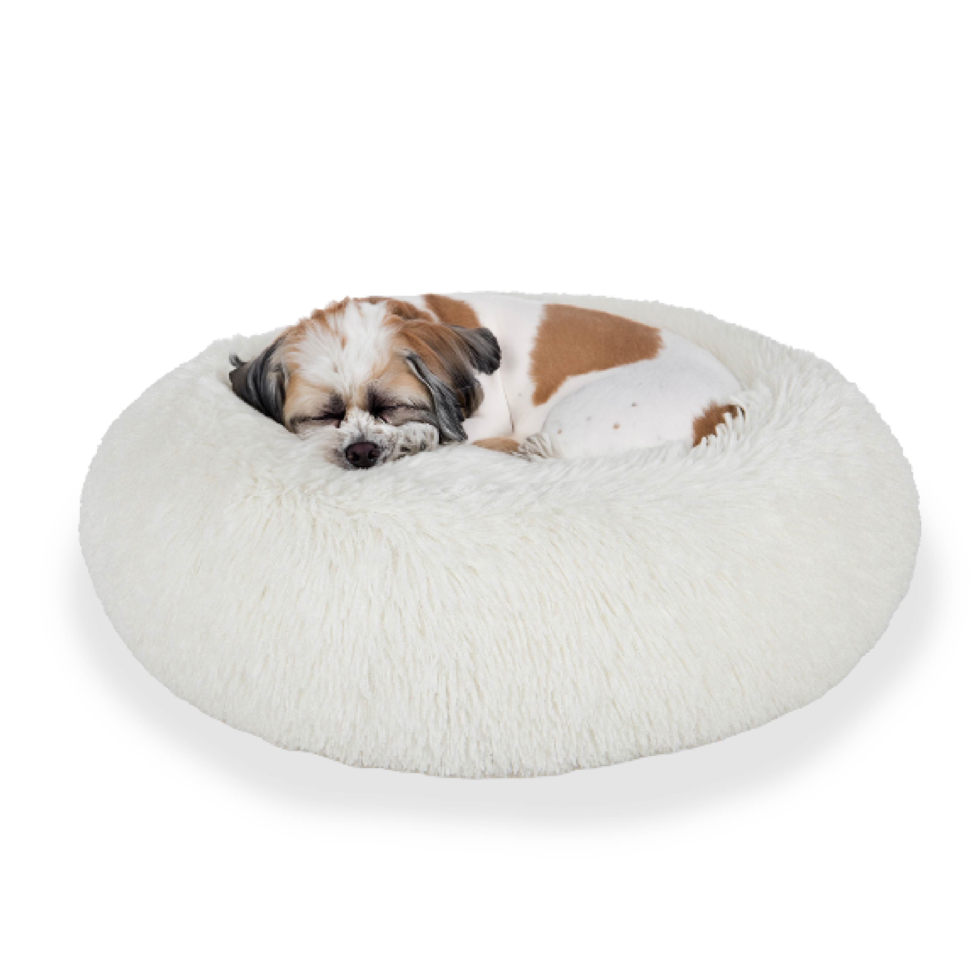 Small dog sleeping on round fluffy white pet bed