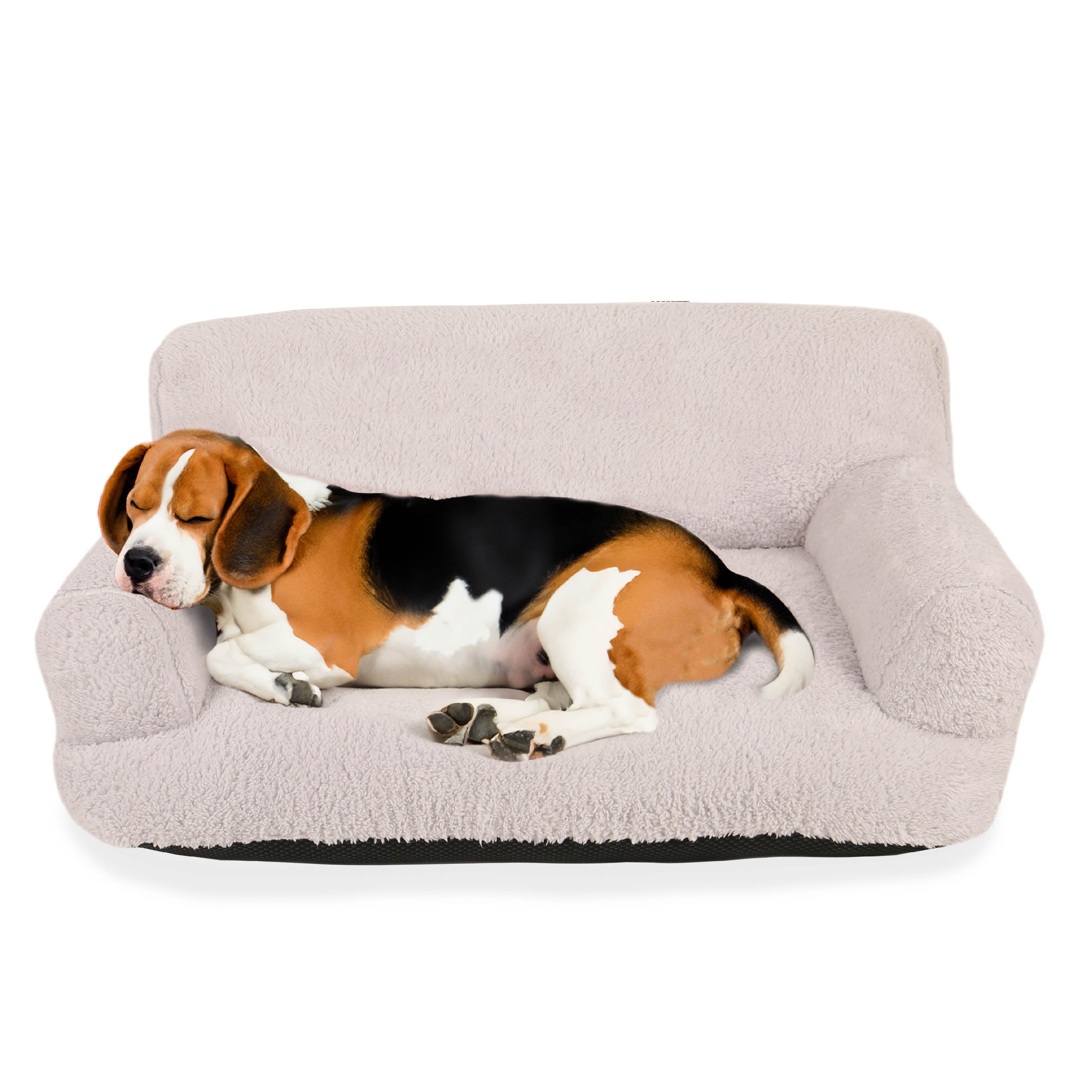 Beagle sleeping on a plush, light gray orthopedic dog sofa bed