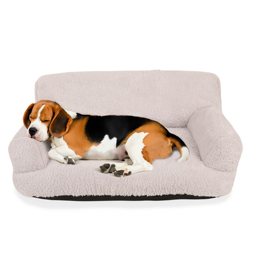 Beagle sleeping on a plush, light gray orthopedic dog sofa bed