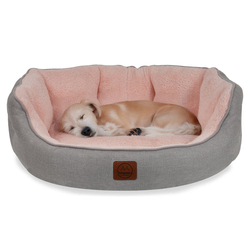 Small dog sleeping in a soft, light pink and grey pet bed with plush cushion.