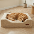 Golden retriever sleeping on a plush cream dog bed in a cozy living room setting
