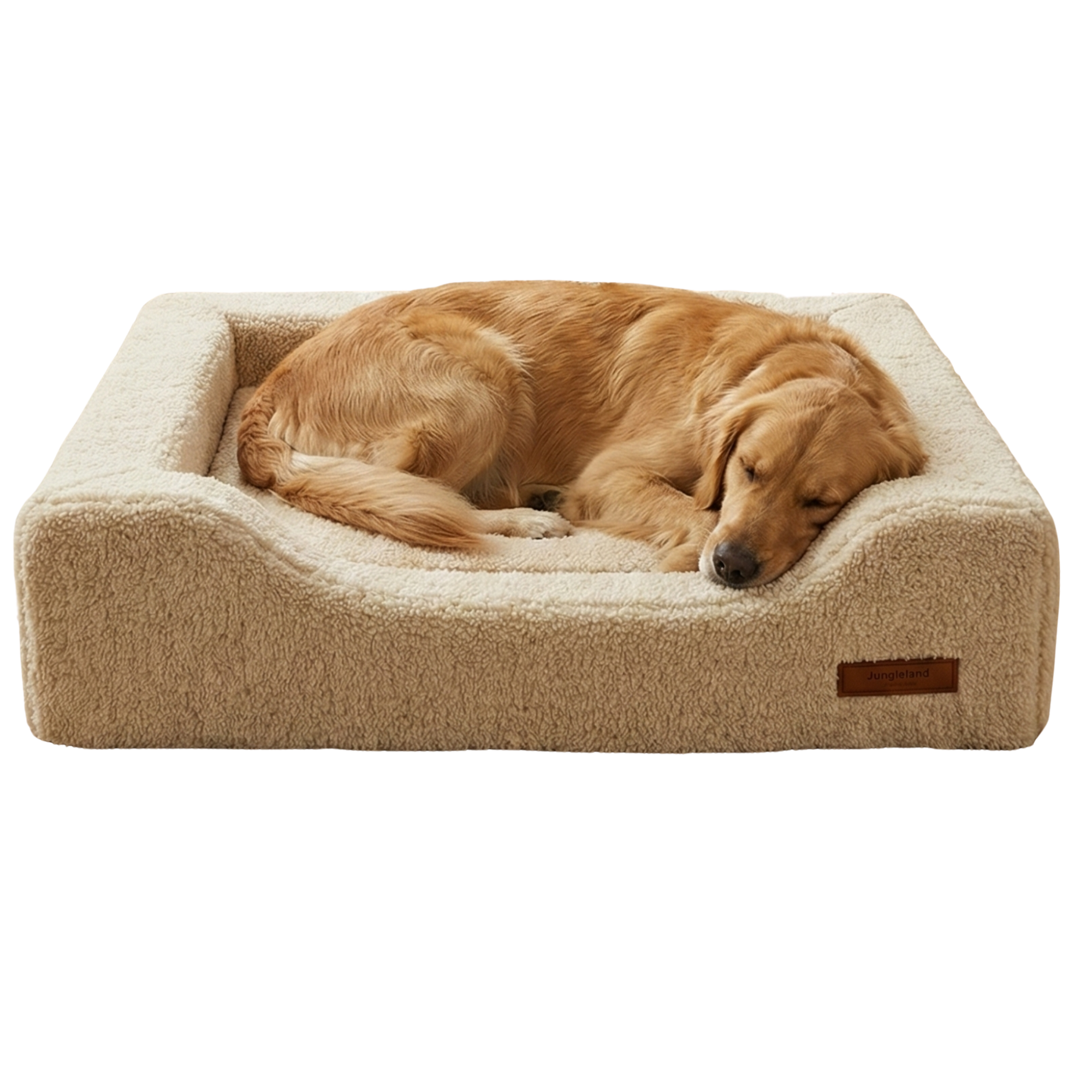 Large golden dog sleeping on a beige orthopedic dog bed with raised sides