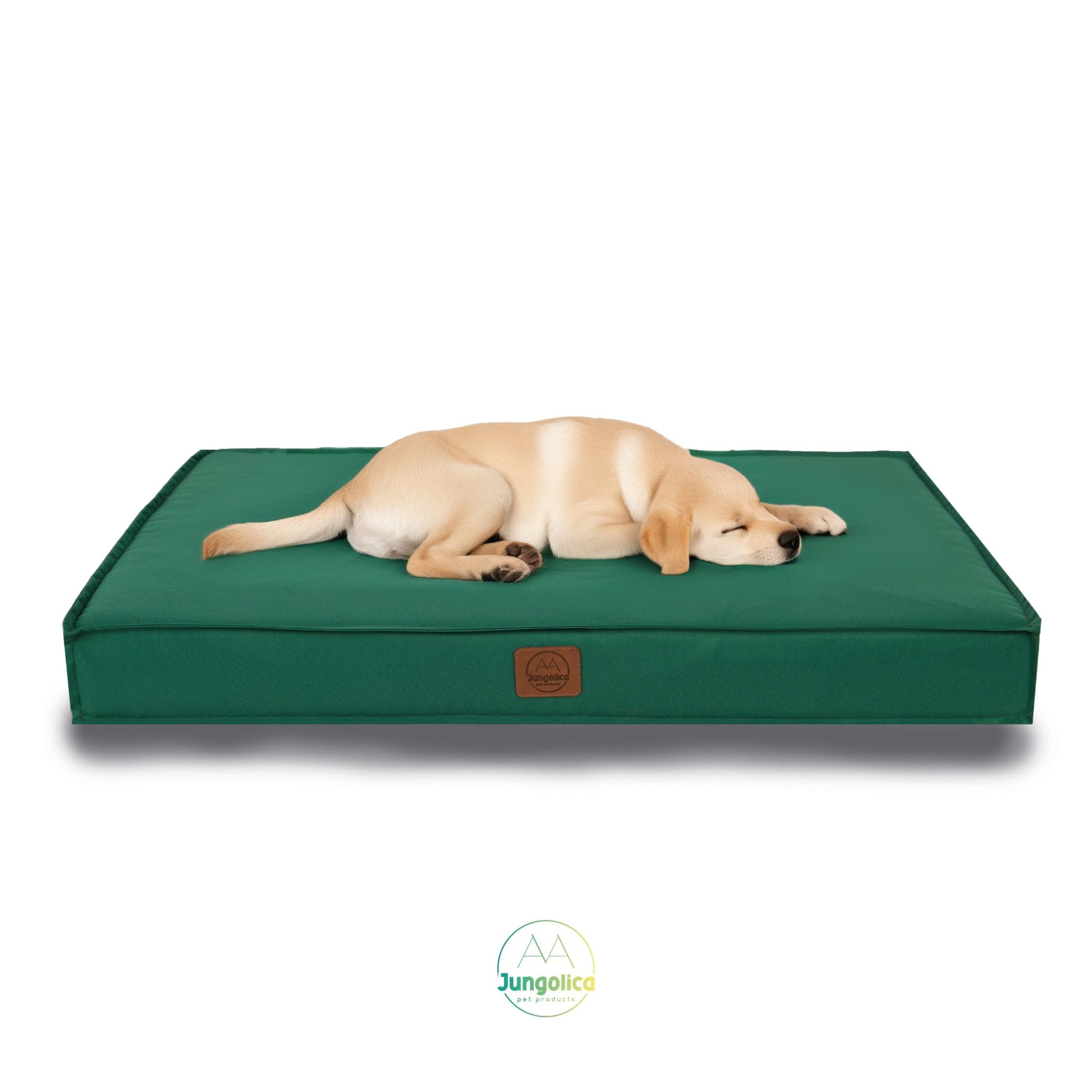 Dog sleeping on waterproof, green pet bed with removable cover