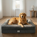 Golden retriever lying on a grey orthopedic dog bed in a modern, bright living room