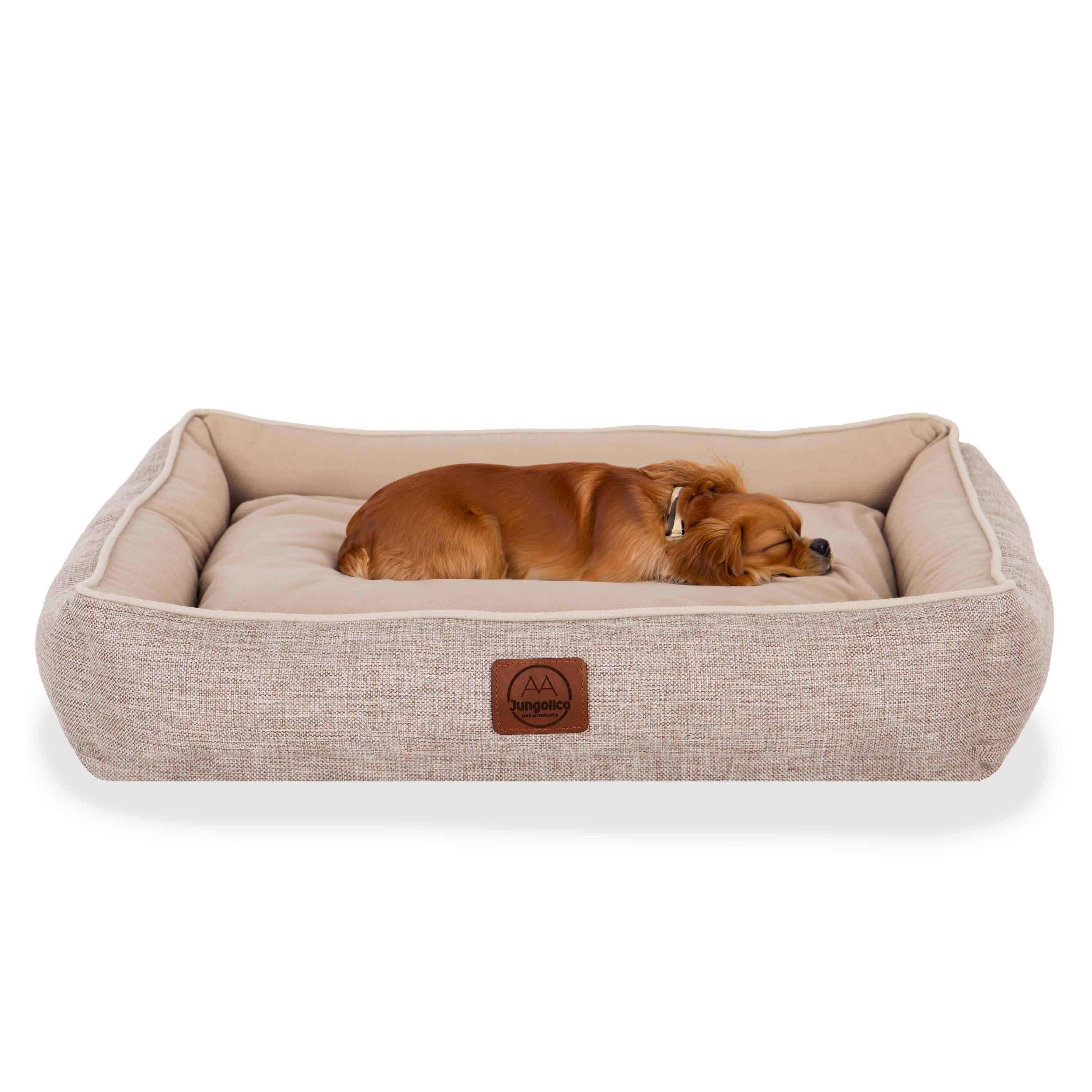 Small brown dog sleeping on a beige rectangular pet bed with soft fabric texture.