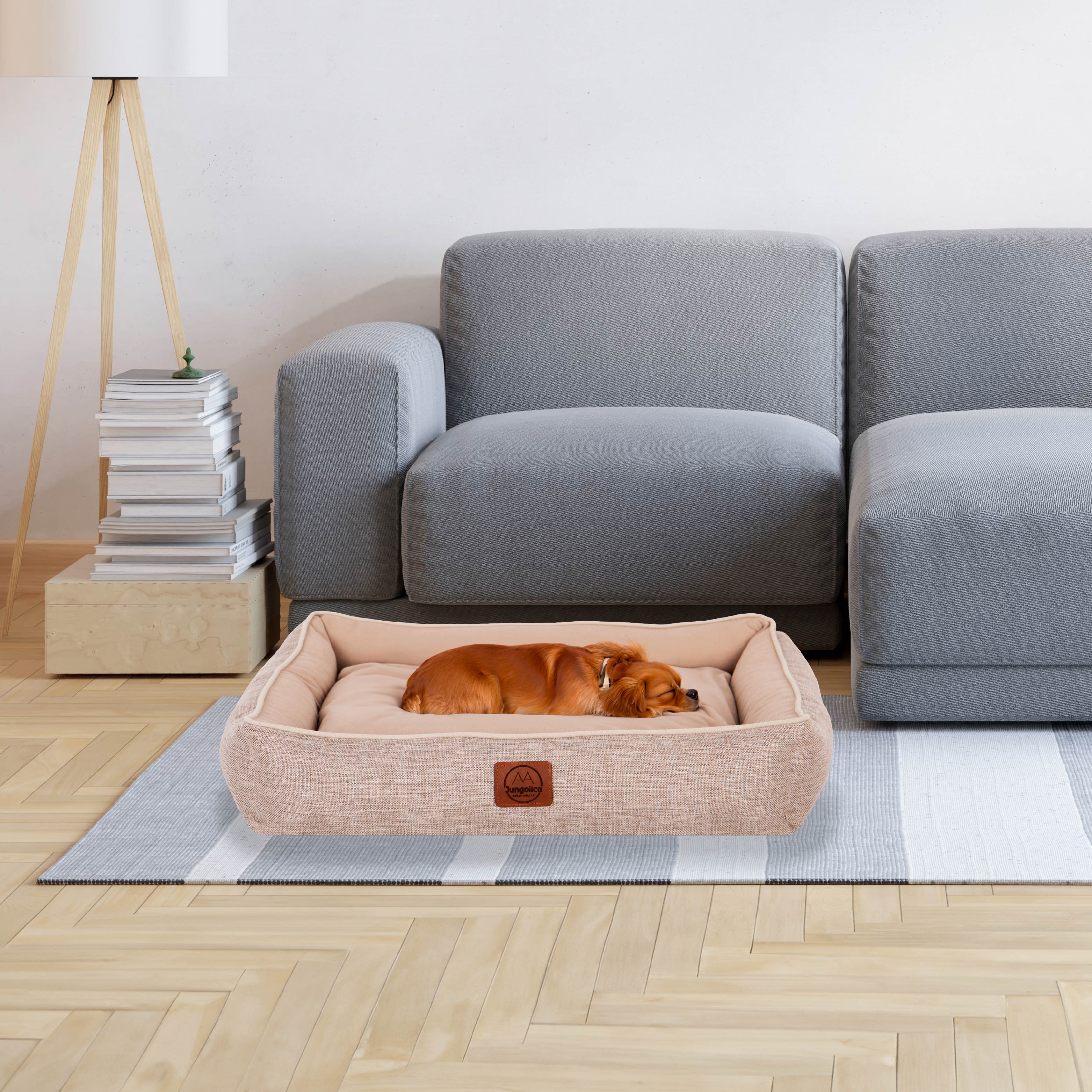 Small dog sleeping in a beige pet bed on a striped rug in a modern living room