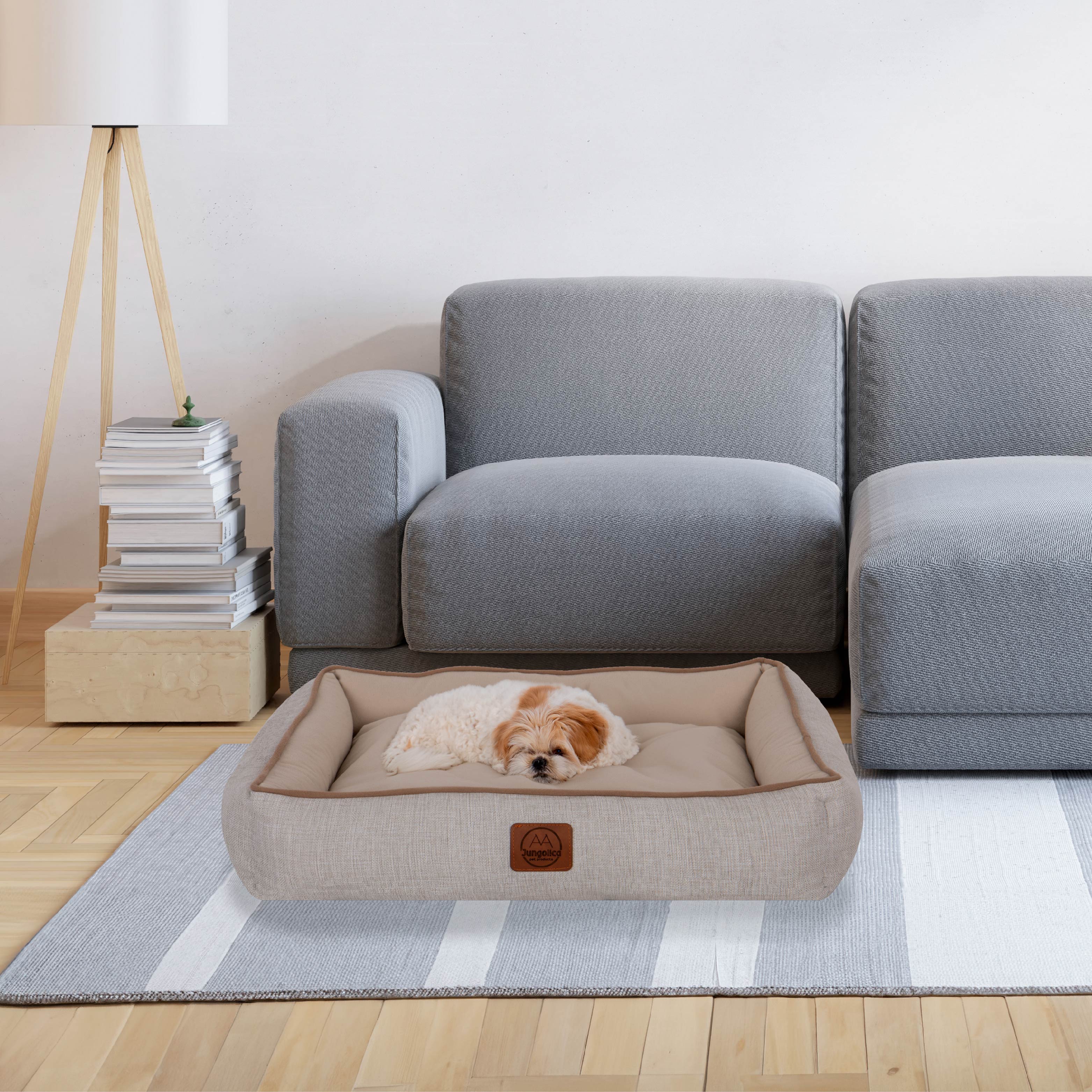 Small dog sleeping on a beige pet bed in front of a gray sofa in a modern living room.