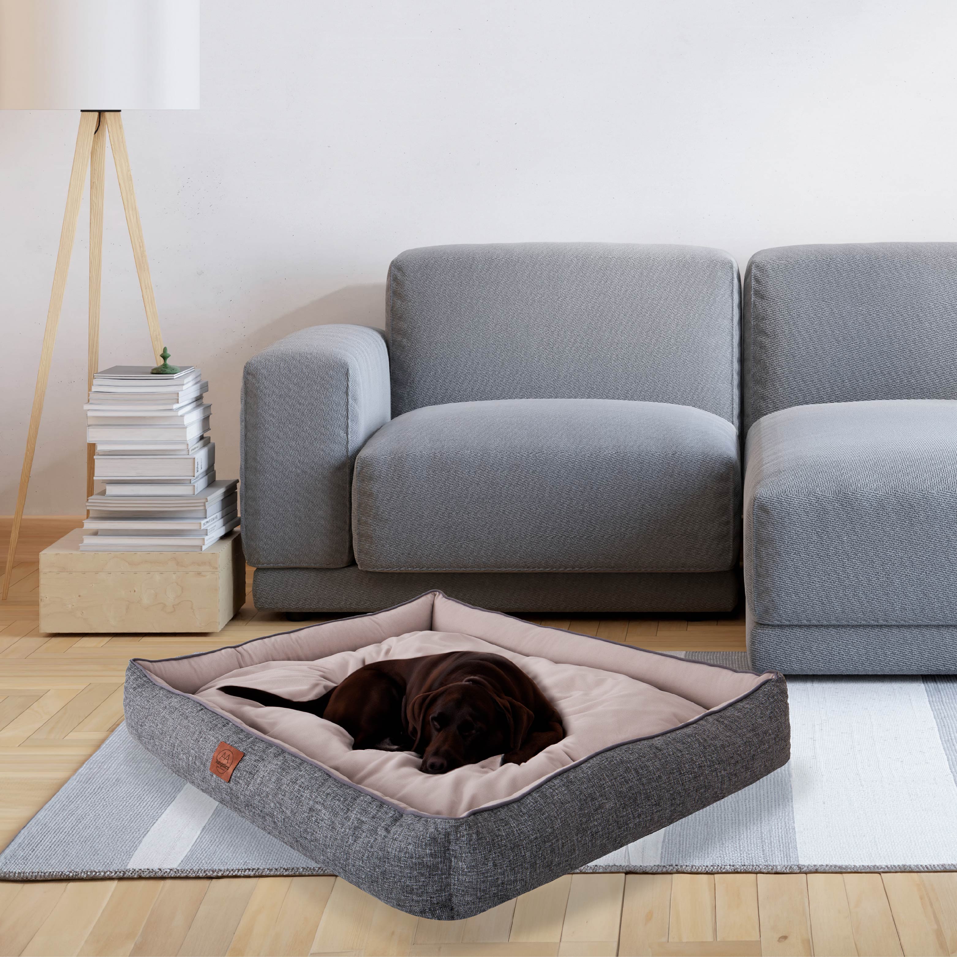 Gray dog bed with a resting brown dog in modern living room with gray sofa and lamp