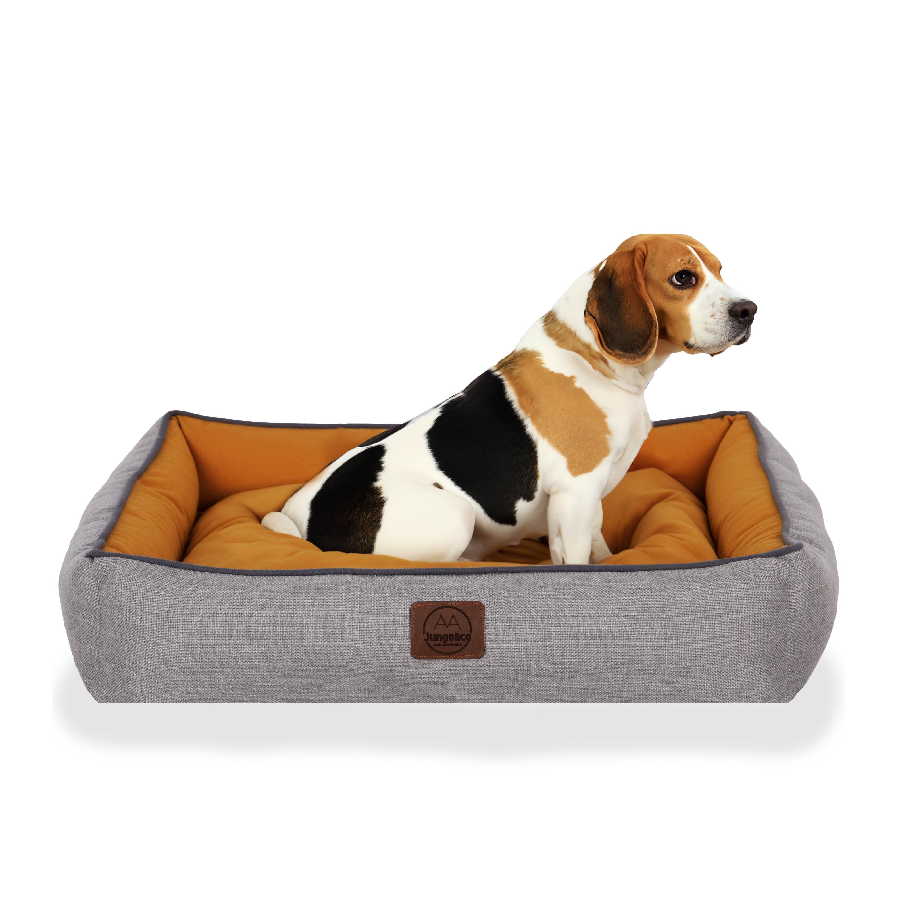 Beagle dog sitting in a mustard yellow and gray rectangular pet bed on white background
