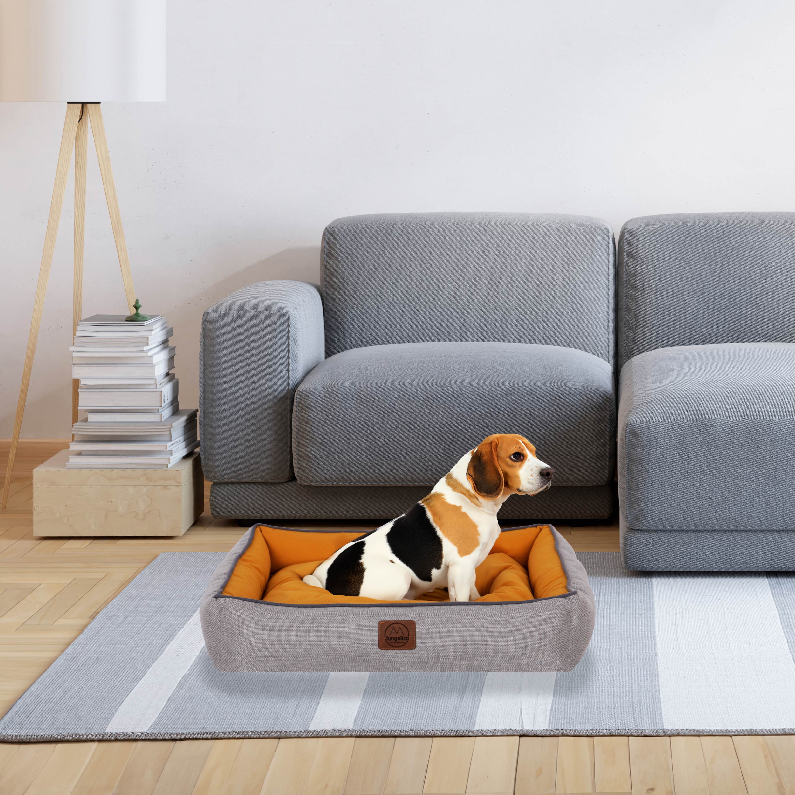 Beagle dog sitting in a mustard yellow pet bed on a striped rug in a modern living room