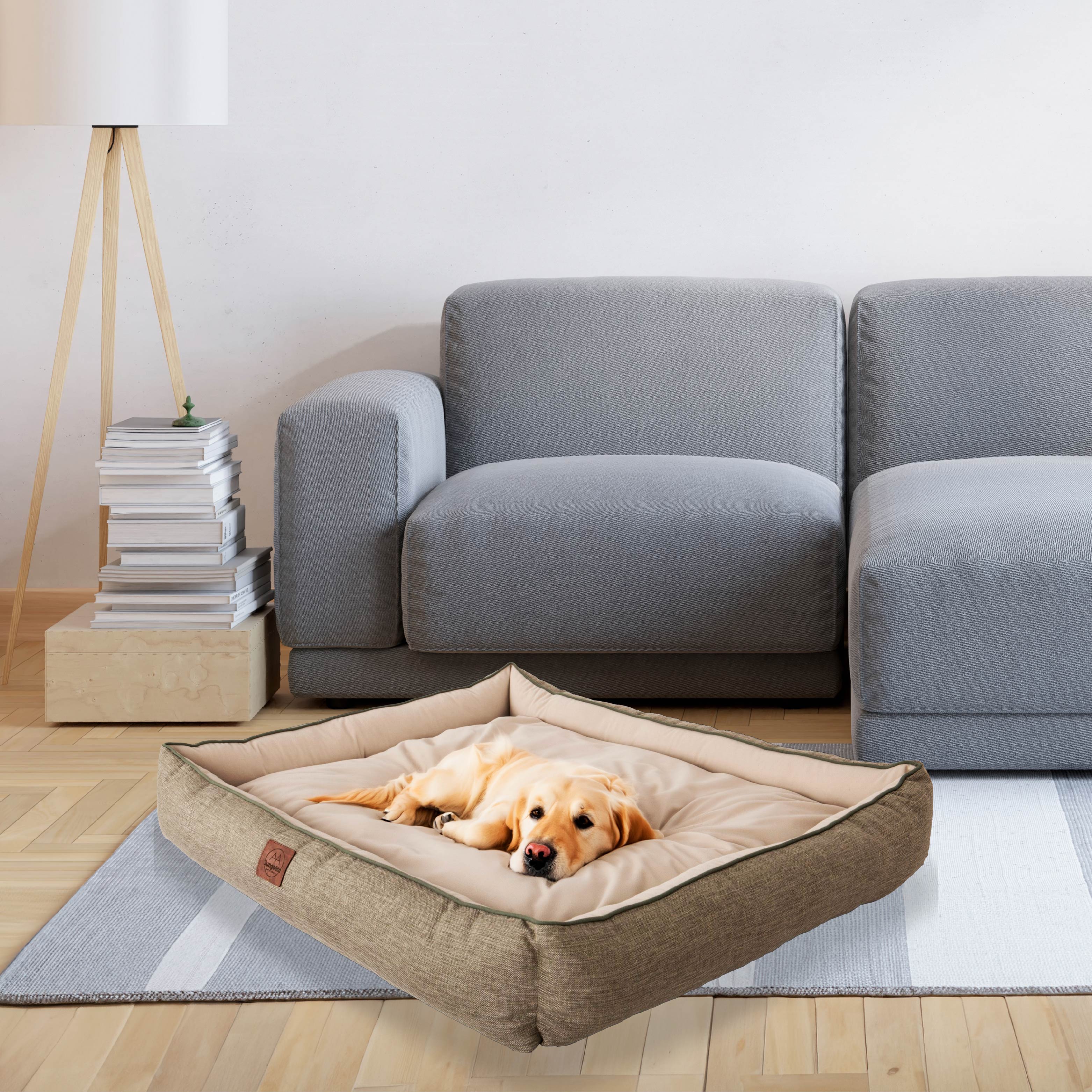 Yellow Labrador dog resting on a soft beige pet bed in a modern living room with a gray sofa.