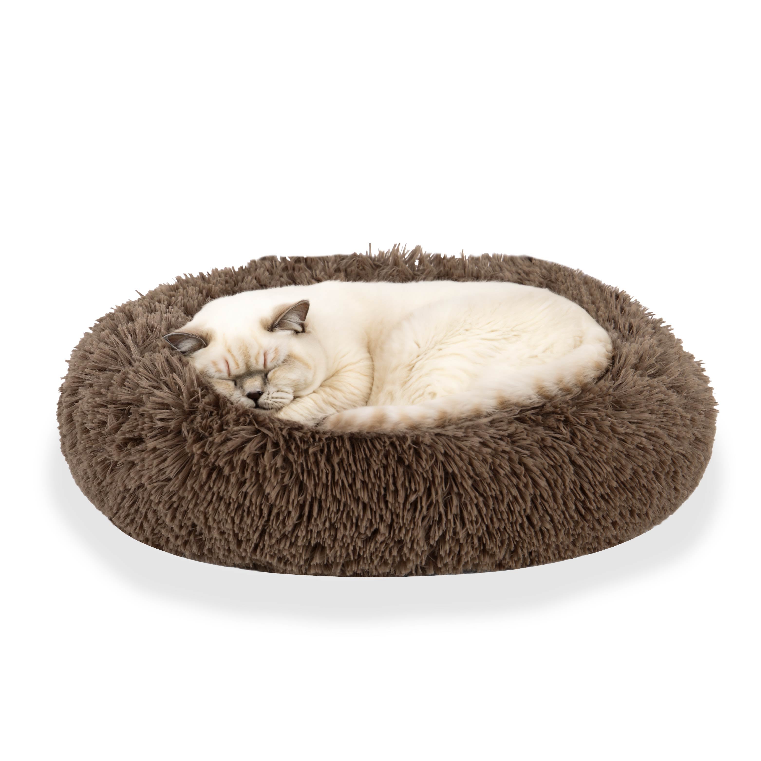 White cat sleeping in a round, fluffy brown pet bed on white background