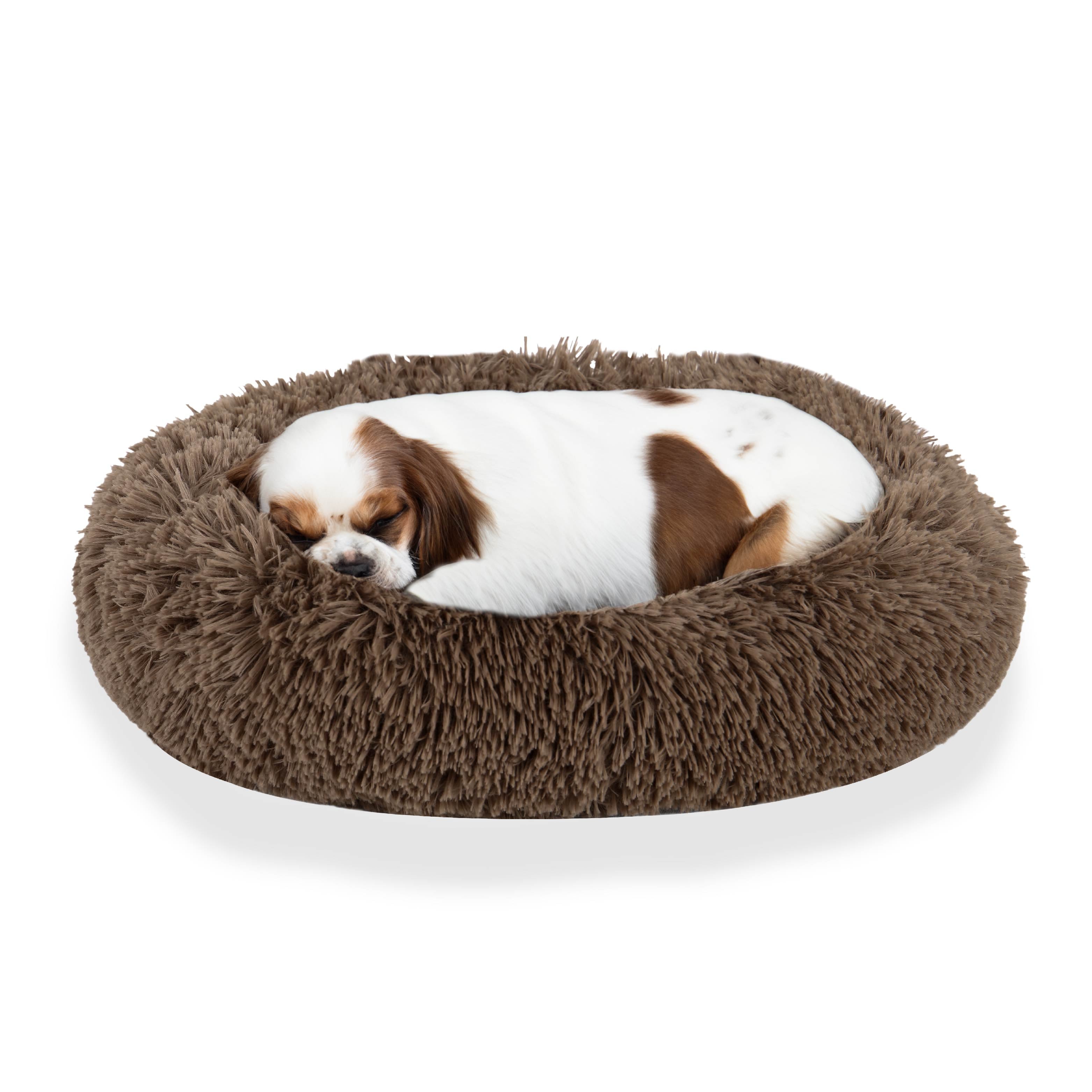 Small dog sleeping on a round, fluffy brown pet bed against a white background