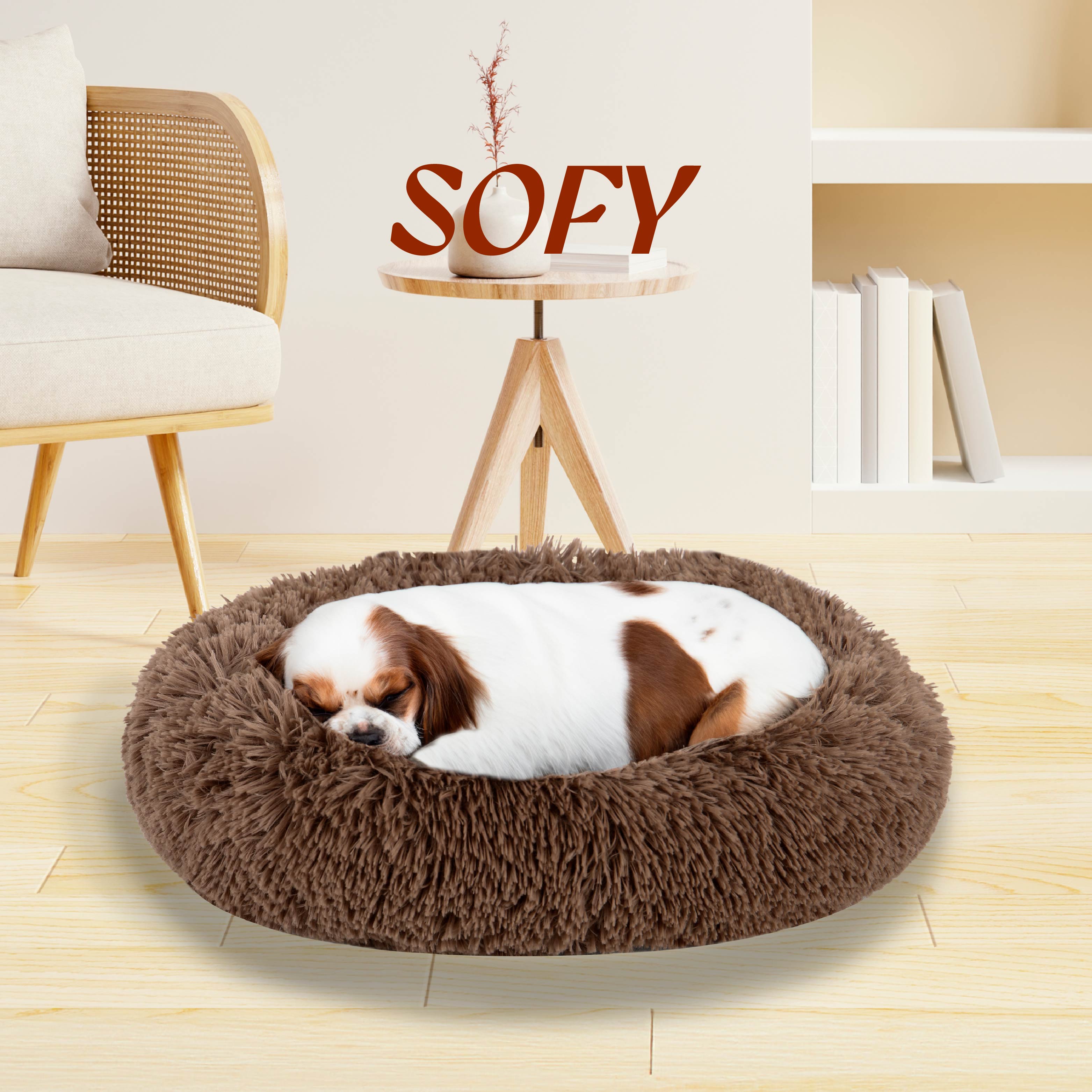 Small dog sleeping in round brown fluffy pet bed in cozy modern living room