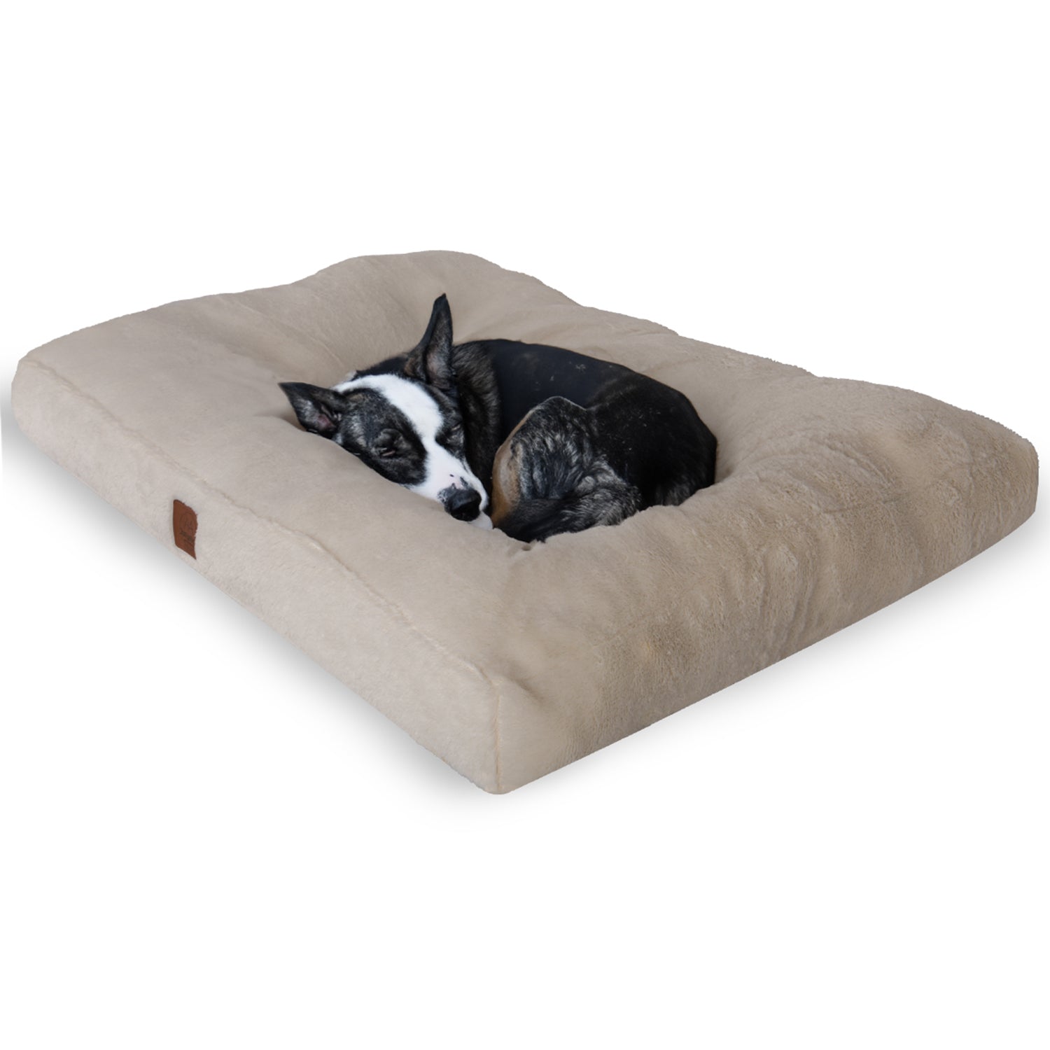 Dog sleeping on beige ultra soft non-slip pet bed for cats and dogs