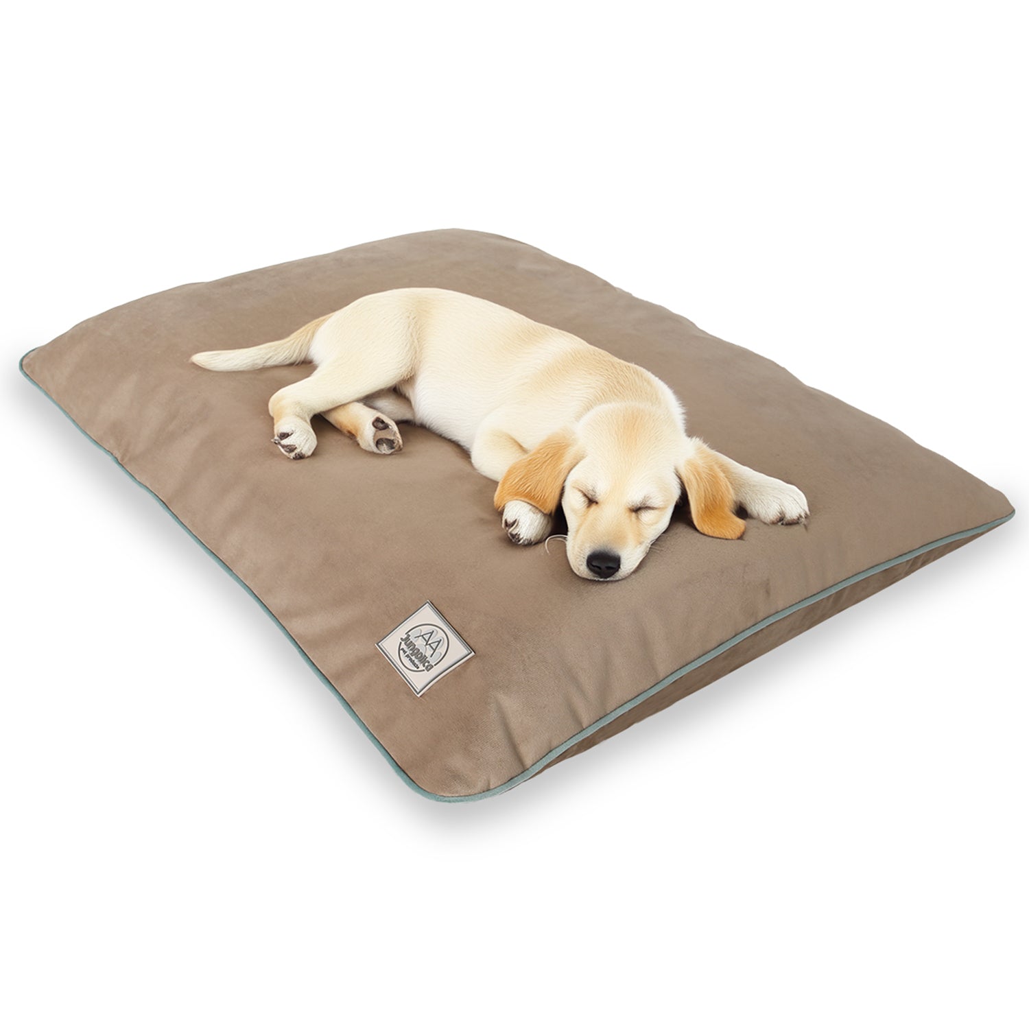 Beige waterproof pet bed with removable cover and sleeping puppy