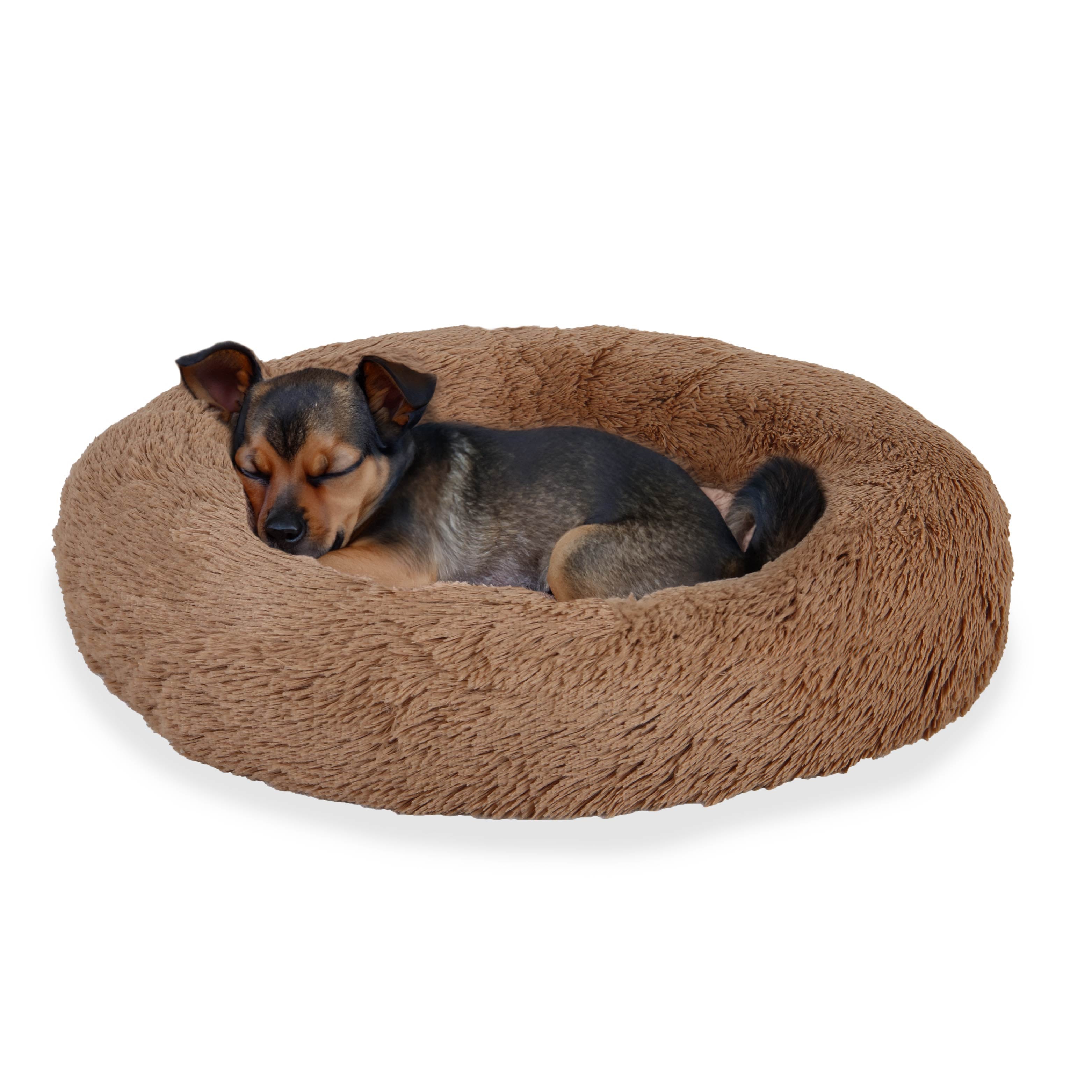 Small dog sleeping on a round, fluffy brown pet bed against a white background